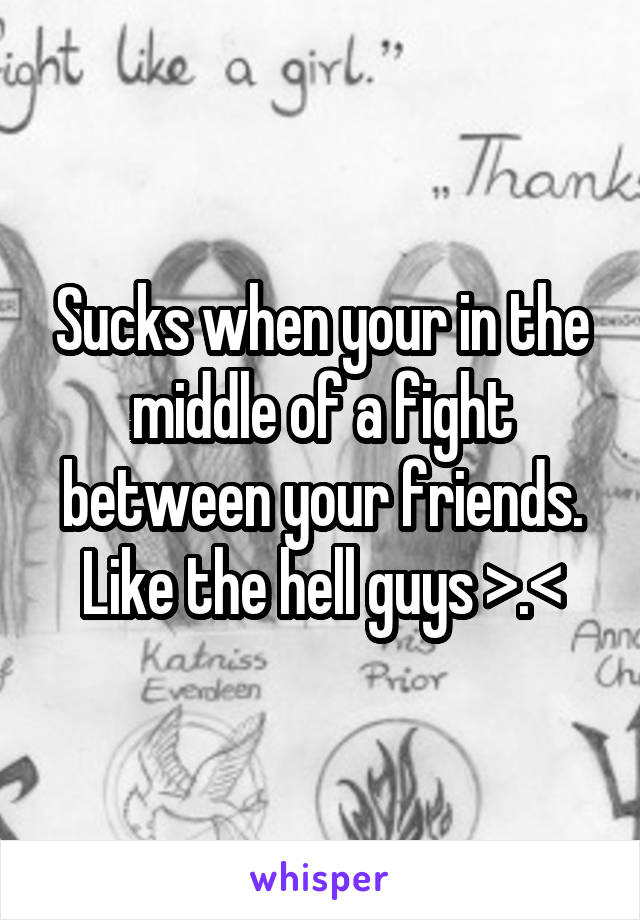 Sucks when your in the middle of a fight between your friends. Like the hell guys >.<