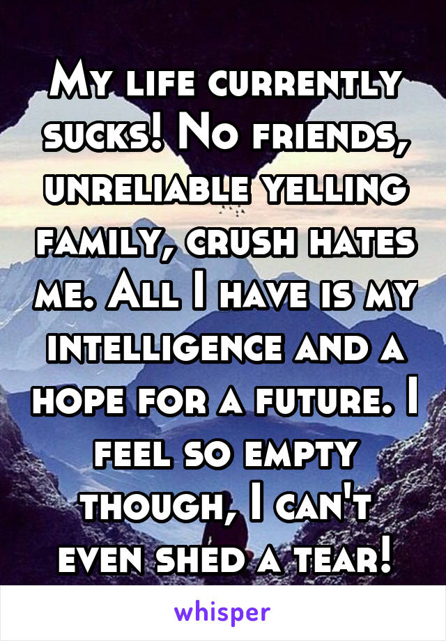 My life currently sucks! No friends, unreliable yelling family, crush hates me. All I have is my intelligence and a hope for a future. I feel so empty though, I can't even shed a tear!