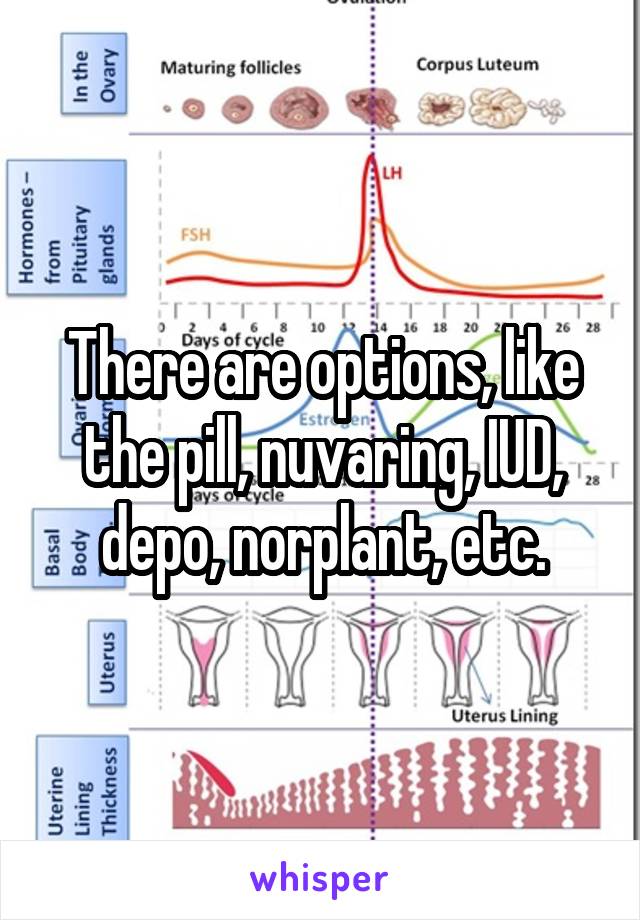 There are options, like the pill, nuvaring, IUD, depo, norplant, etc.