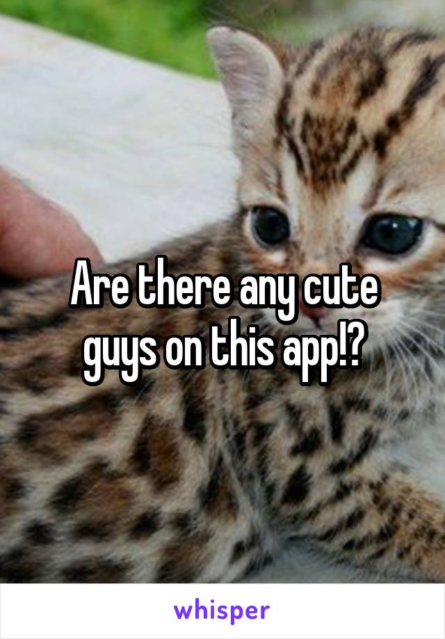 Are there any cute guys on this app!?