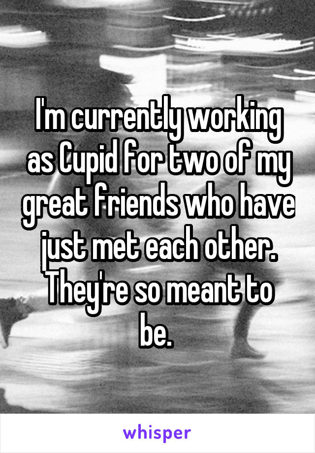 I'm currently working as Cupid for two of my great friends who have just met each other.
They're so meant to be. 