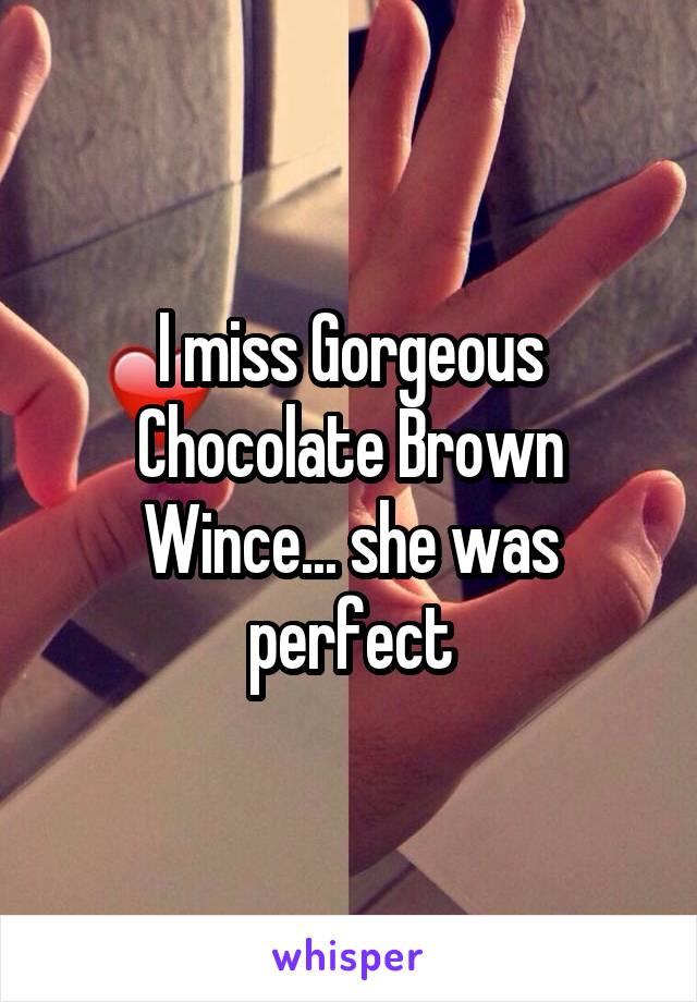 I miss Gorgeous Chocolate Brown Wince... she was perfect