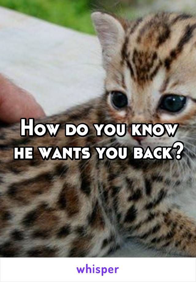 How do you know he wants you back?