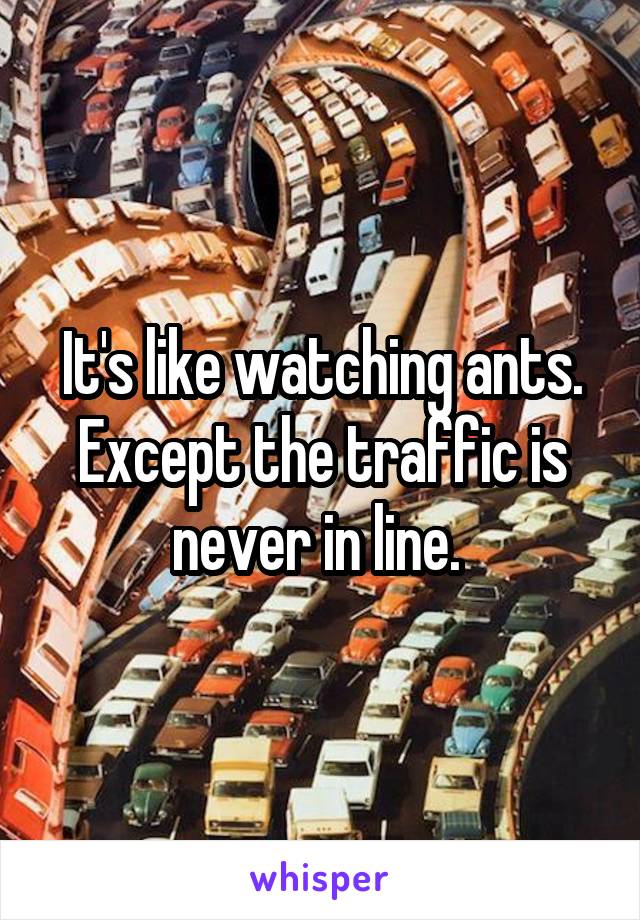 It's like watching ants. Except the traffic is never in line. 