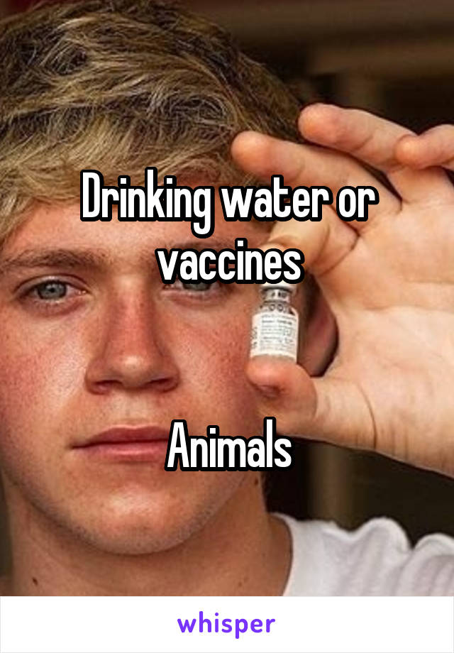 Drinking water or vaccines


Animals
