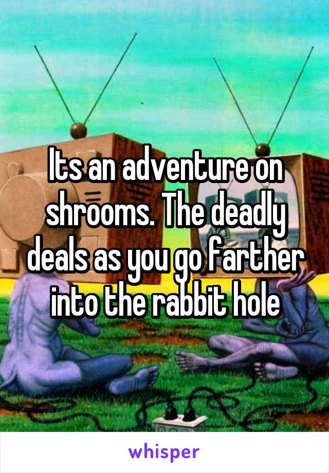 Its an adventure on shrooms. The deadly deals as you go farther into the rabbit hole