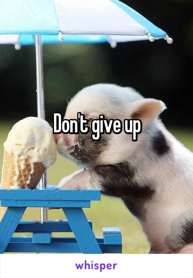 Don't give up
