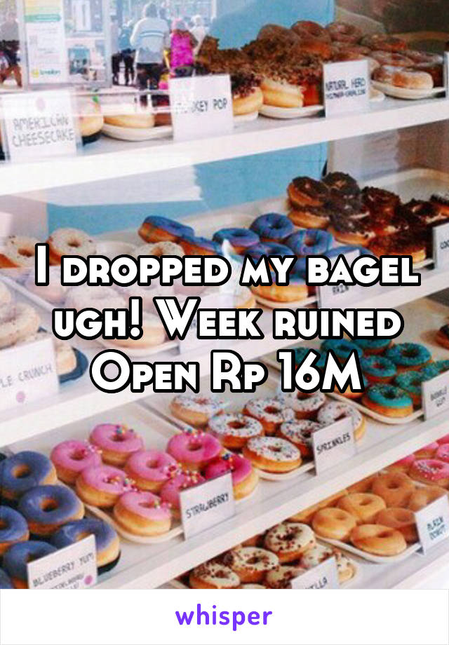 I dropped my bagel ugh! Week ruined
Open Rp 16M