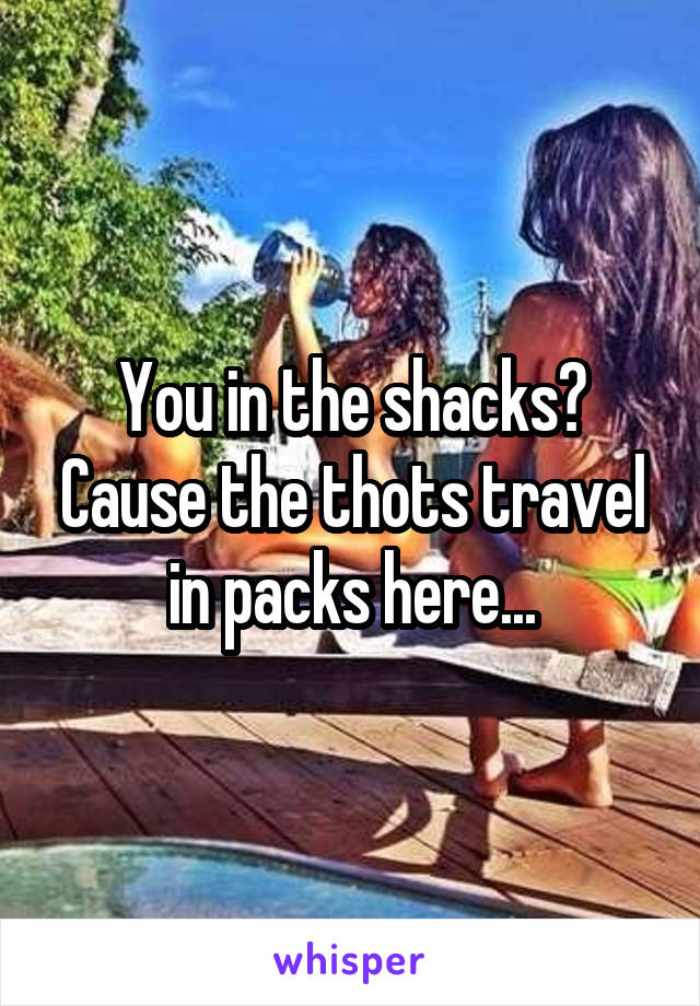 You in the shacks? Cause the thots travel in packs here...