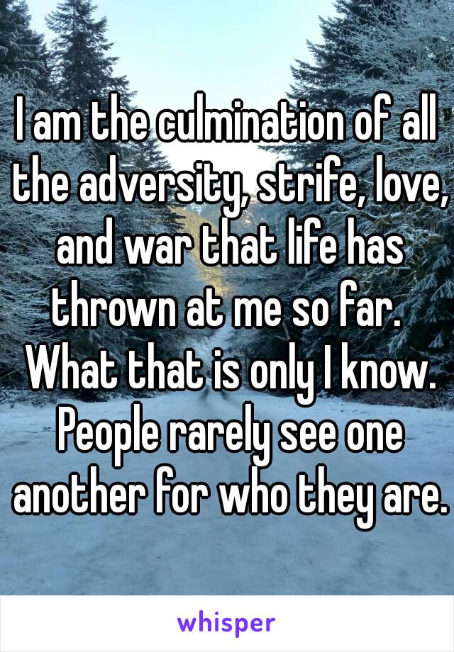I am the culmination of all the adversity, strife, love, and war that life has thrown at me so far. 
 What that is only I know. People rarely see one another for who they are.