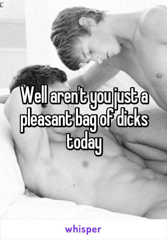 Well aren't you just a pleasant bag of dicks today