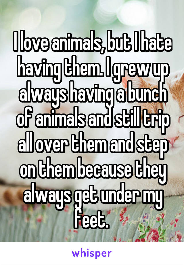 I love animals, but I hate having them. I grew up always having a bunch of animals and still trip all over them and step on them because they always get under my feet. 