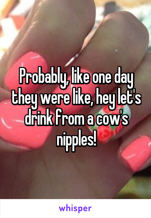 Probably, like one day they were like, hey let's drink from a cow's nipples!