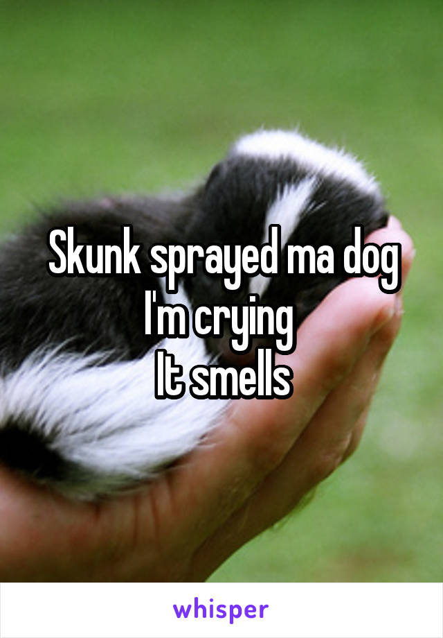 Skunk sprayed ma dog
I'm crying 
It smells