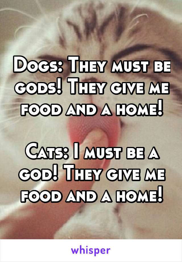 Dogs: They must be gods! They give me food and a home!

Cats: I must be a god! They give me food and a home!
