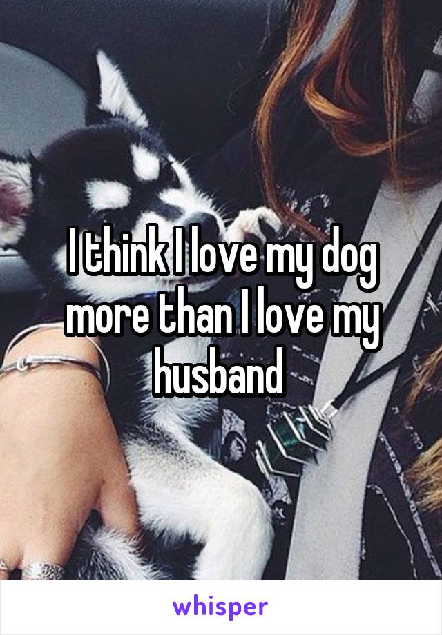 I think I love my dog more than I love my husband 