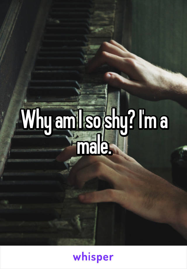 Why am I so shy? I'm a male.