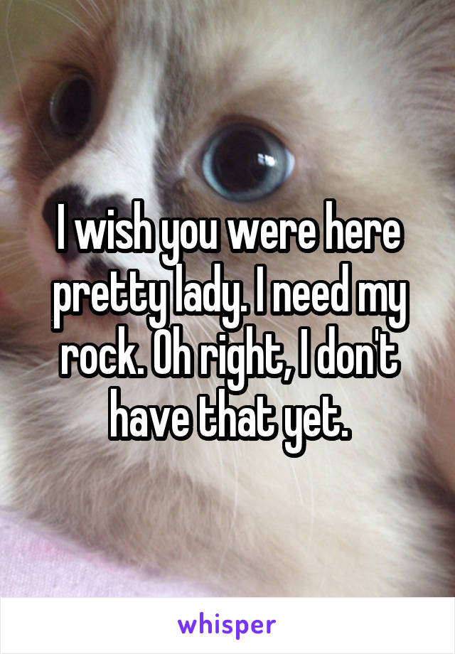 I wish you were here pretty lady. I need my rock. Oh right, I don't have that yet.
