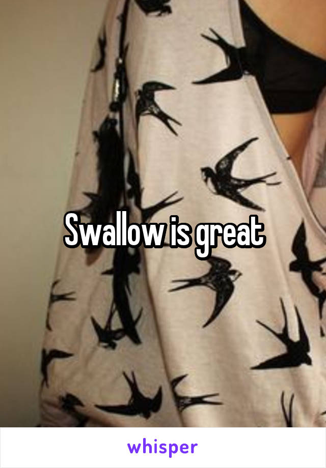 Swallow is great