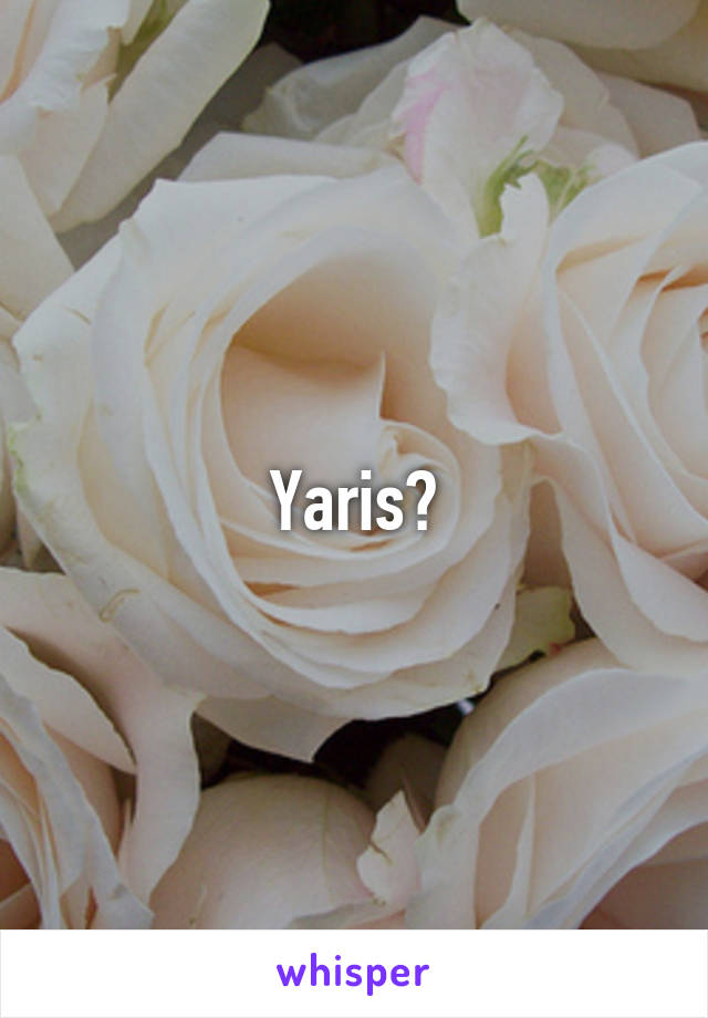 Yaris?