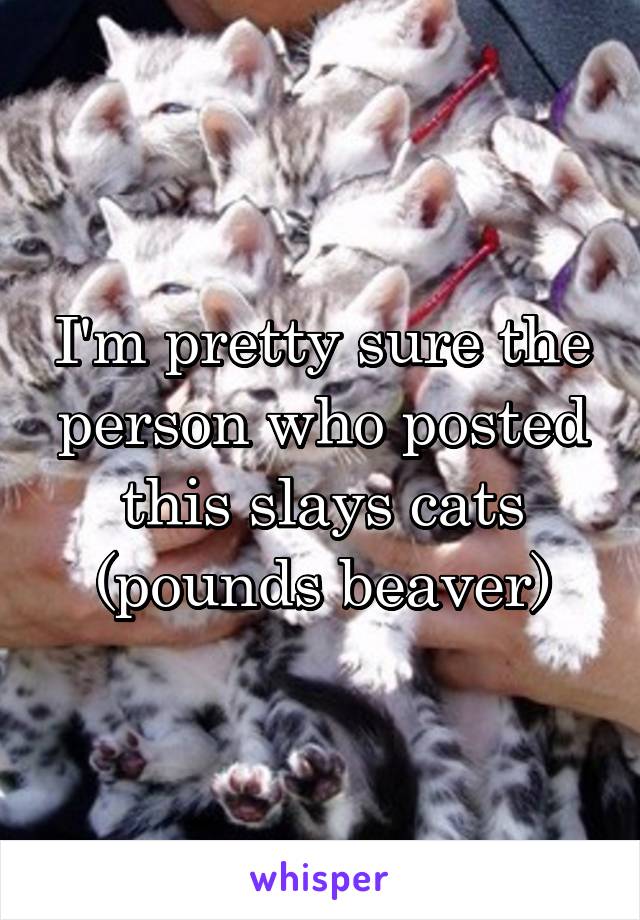I'm pretty sure the person who posted this slays cats (pounds beaver)