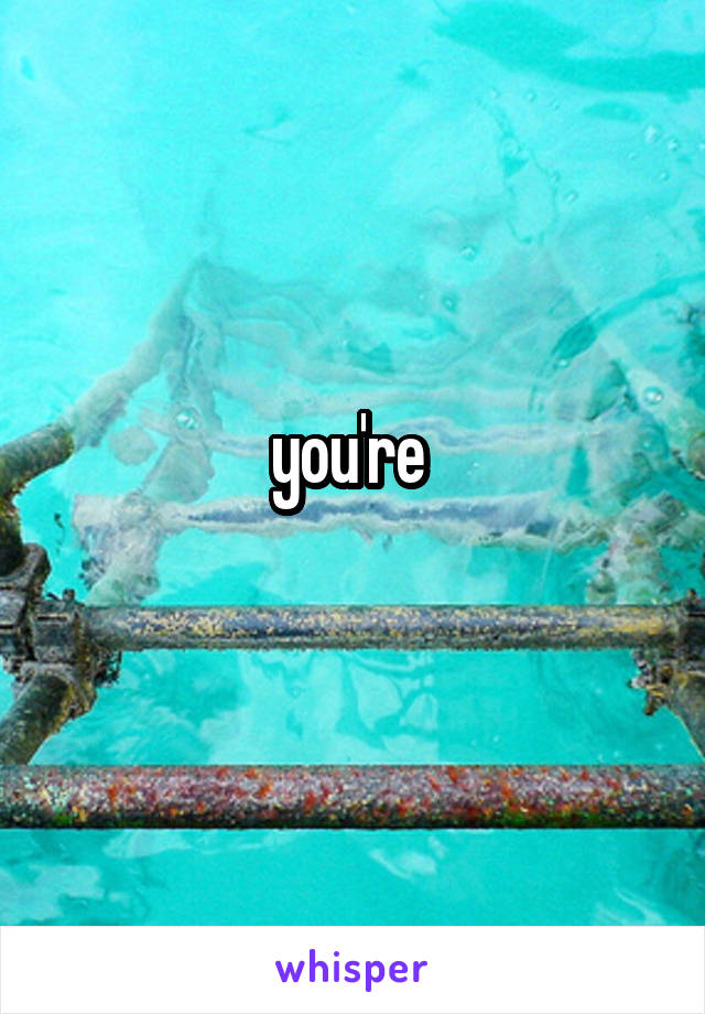 you're 
