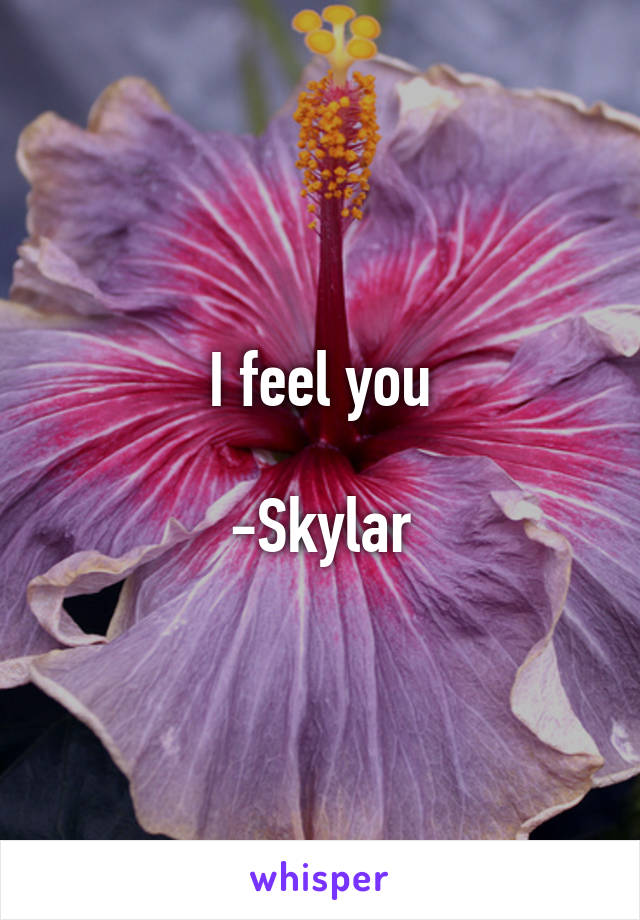 I feel you

-Skylar