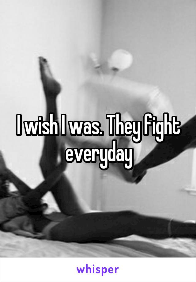 I wish I was. They fight everyday