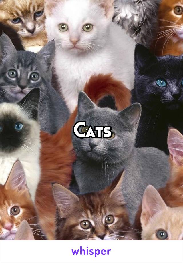 Cats