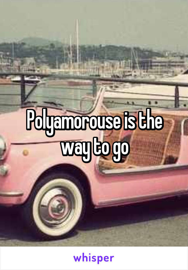 Polyamorouse is the way to go