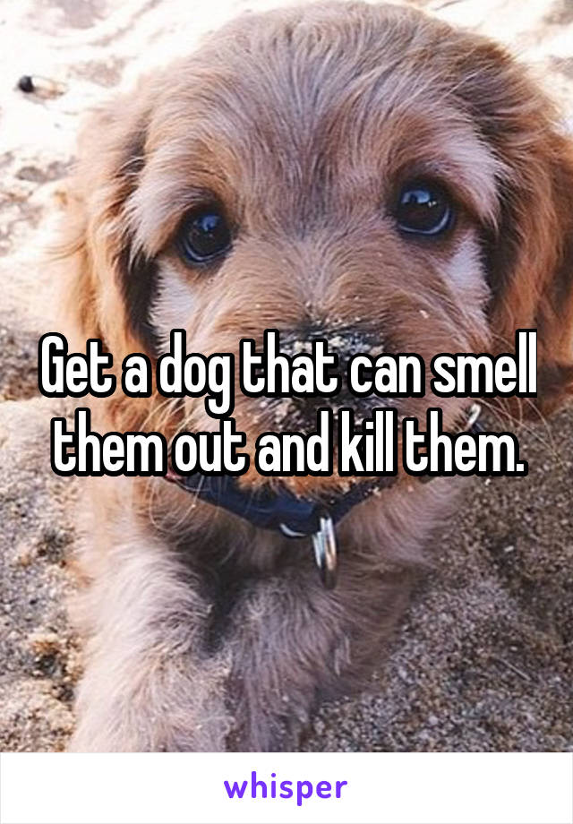 Get a dog that can smell them out and kill them.