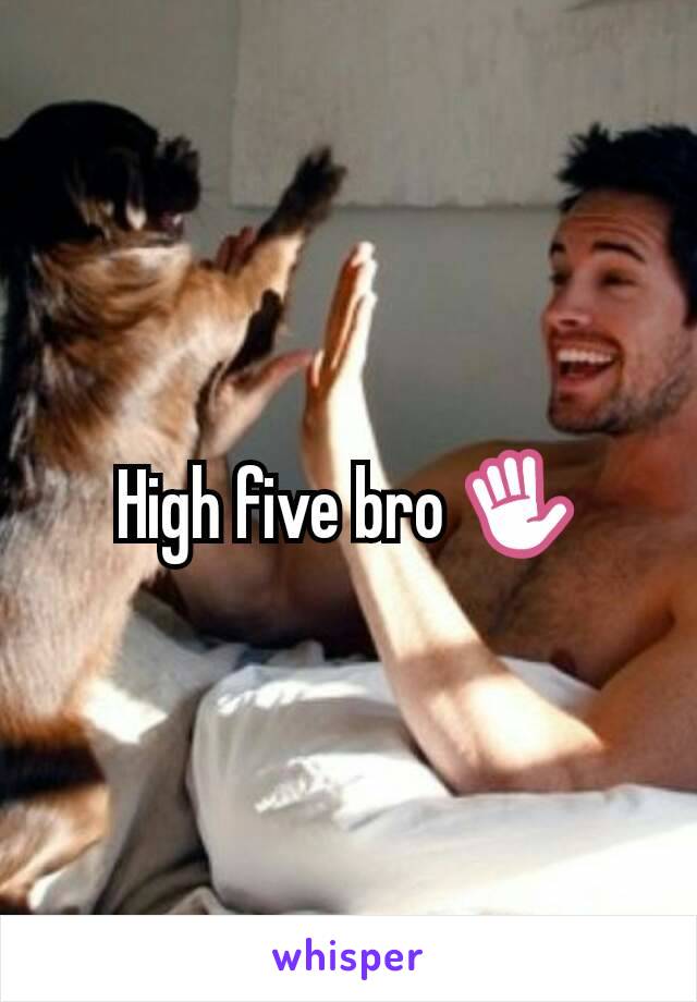 High five bro ✋