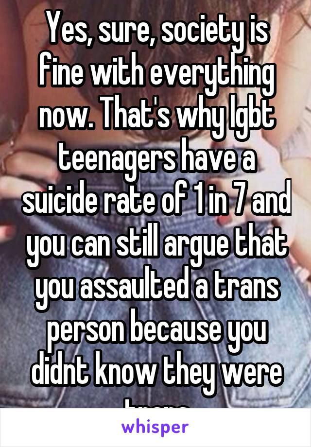 Yes, sure, society is fine with everything now. That's why lgbt teenagers have a suicide rate of 1 in 7 and you can still argue that you assaulted a trans person because you didnt know they were trans