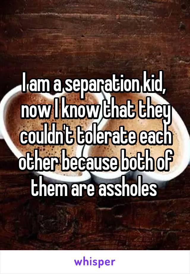 I am a separation kid,  now I know that they couldn't tolerate each other because both of them are assholes 