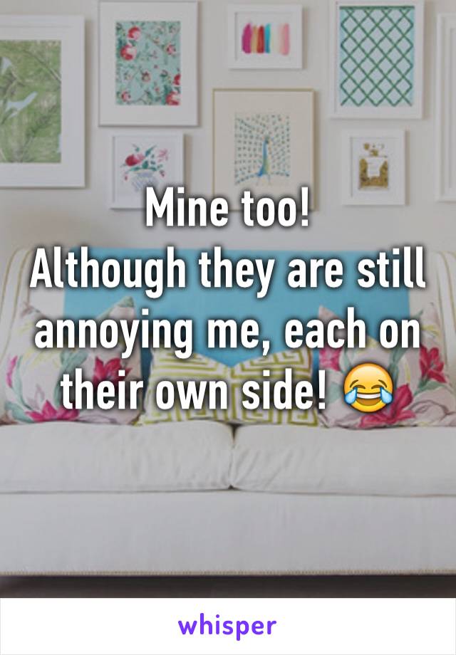 Mine too!
Although they are still annoying me, each on their own side! 😂