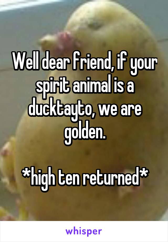 Well dear friend, if your spirit animal is a ducktayto, we are golden.

*high ten returned*