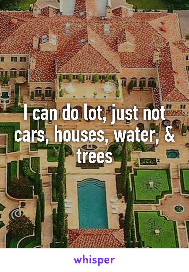 I can do lot, just not cars, houses, water, & trees