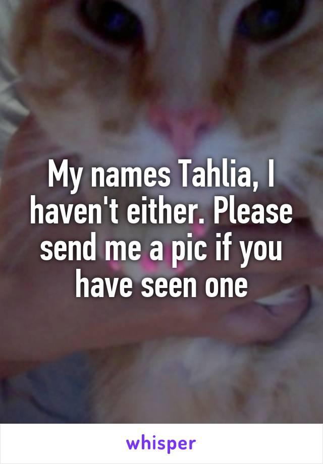 My names Tahlia, I haven't either. Please send me a pic if you have seen one