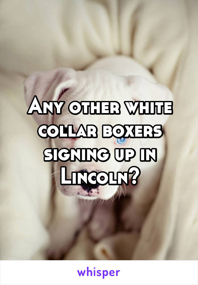 Any other white collar boxers signing up in Lincoln?