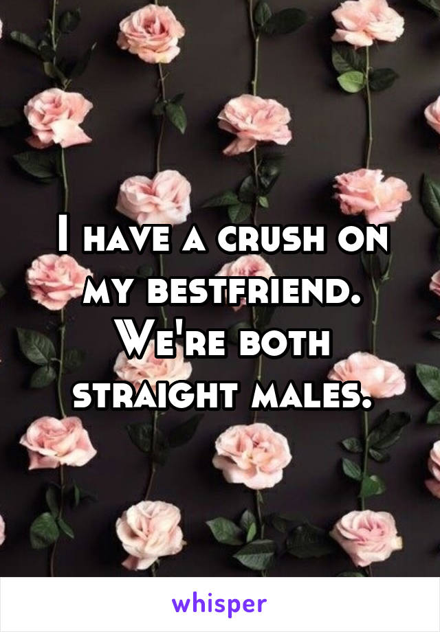 I have a crush on my bestfriend. We're both straight males.