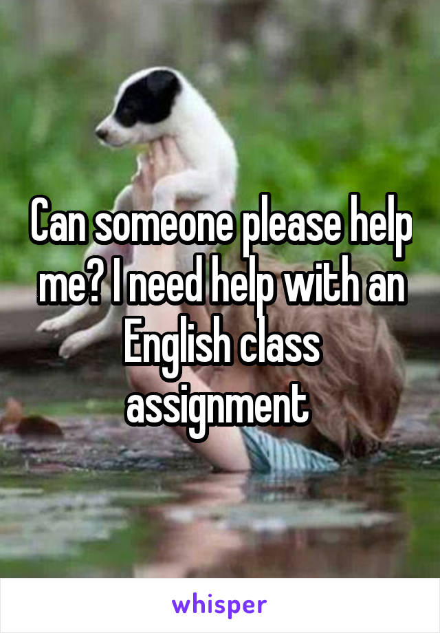 Can someone please help me? I need help with an English class assignment 
