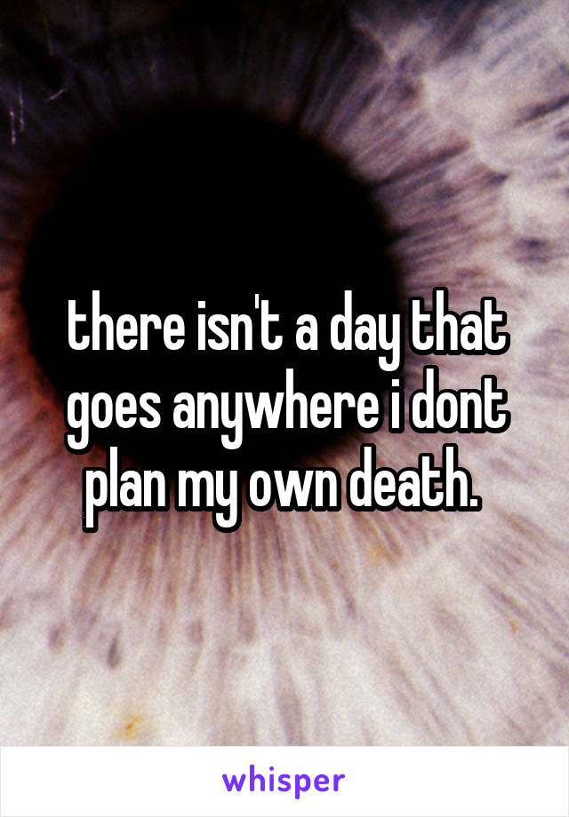 there isn't a day that goes anywhere i dont plan my own death. 