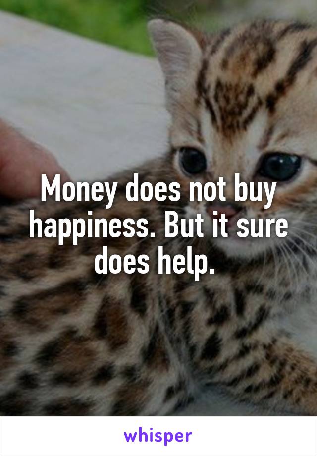 Money does not buy happiness. But it sure does help. 
