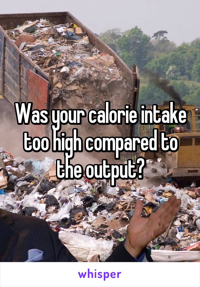 Was your calorie intake too high compared to the output?