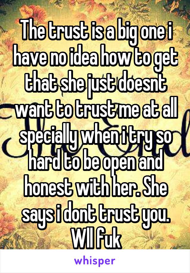 The trust is a big one i have no idea how to get that she just doesnt want to trust me at all specially when i try so hard to be open and honest with her. She says i dont trust you. Wll fuk