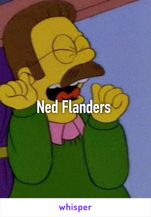 Ned Flanders 