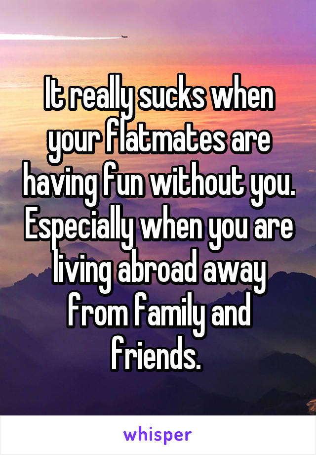 It really sucks when your flatmates are having fun without you. Especially when you are living abroad away from family and friends. 