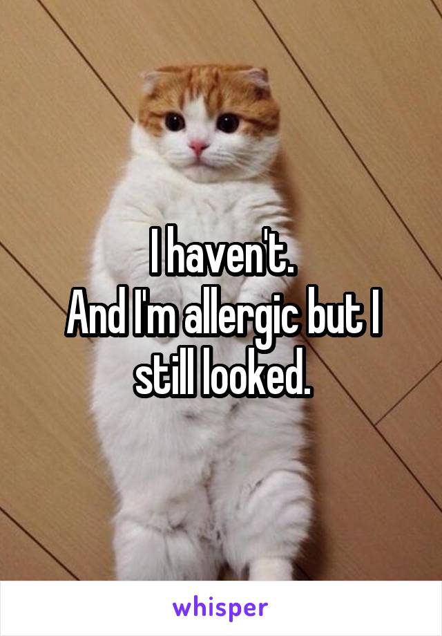 I haven't.
And I'm allergic but I still looked.