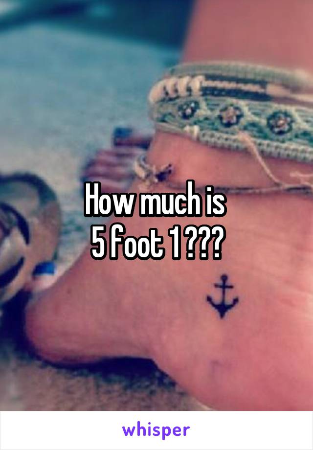 How much is 
5 foot 1 ???