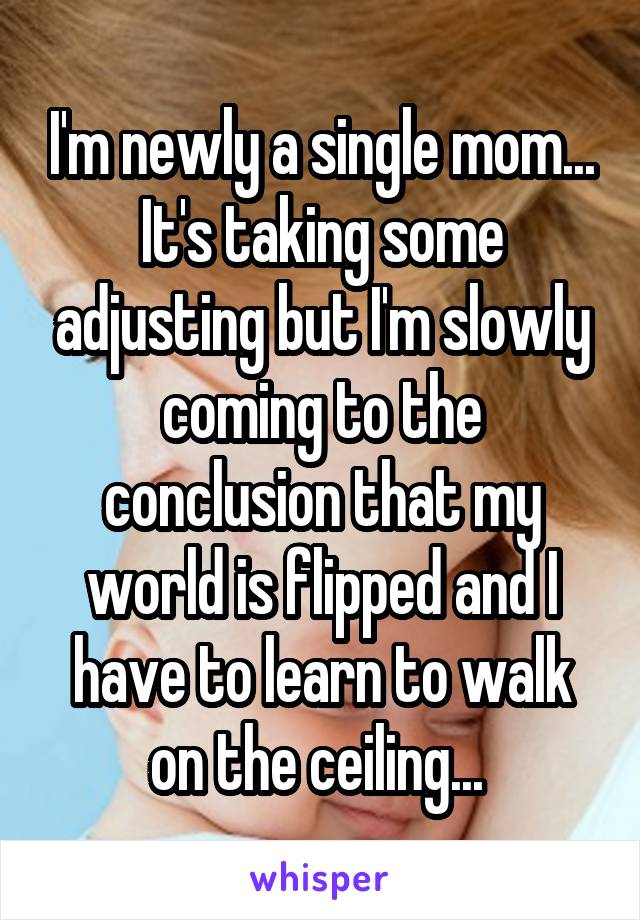 I'm newly a single mom... It's taking some adjusting but I'm slowly coming to the conclusion that my world is flipped and I have to learn to walk on the ceiling... 